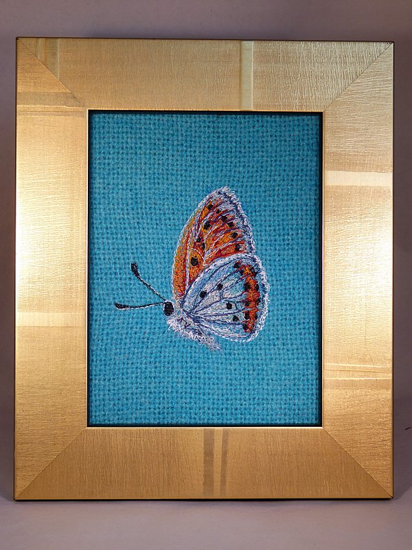Butterfly on Turquoise ‘Large Copper’ Picture